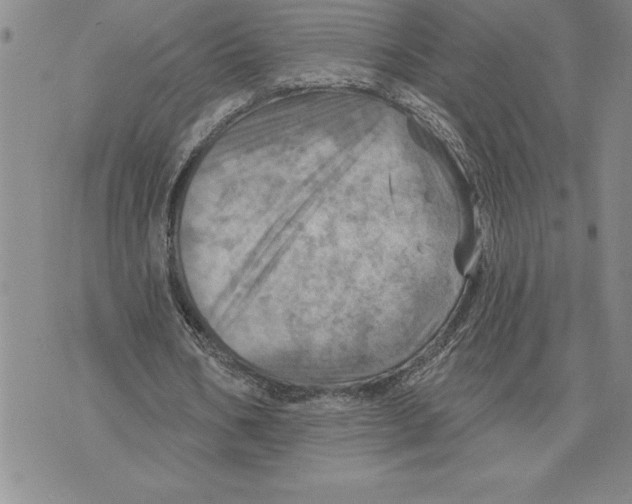 X0000075830578200610151522