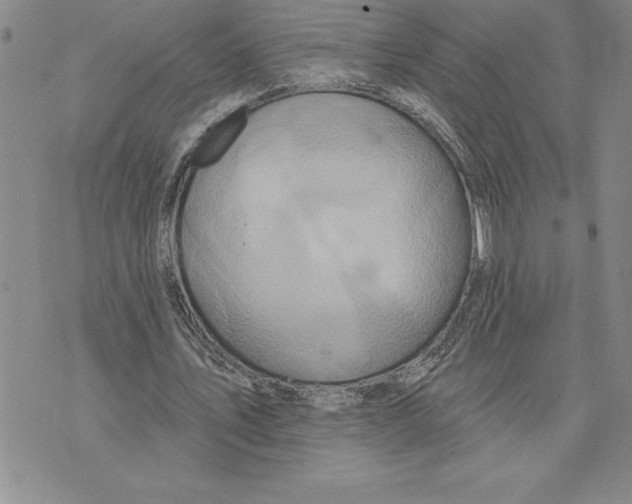 X0000075830579200610151522