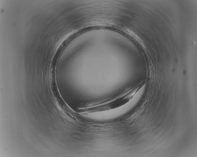 X0000075830580200610151522