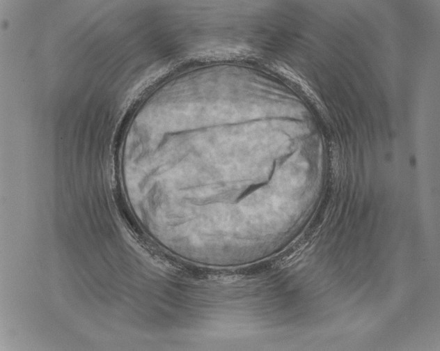 X0000075830582200610151522