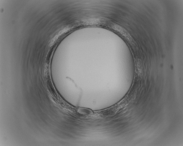 X0000075830583200610151522