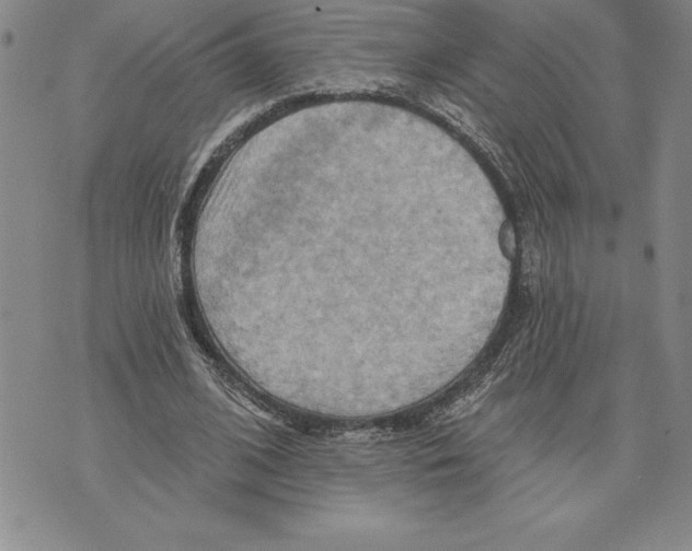 X0000075830584200610151522