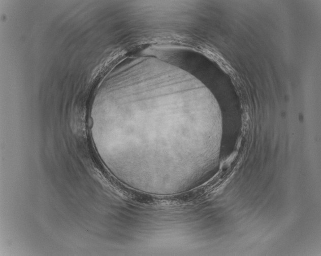 X0000075830585200610151522