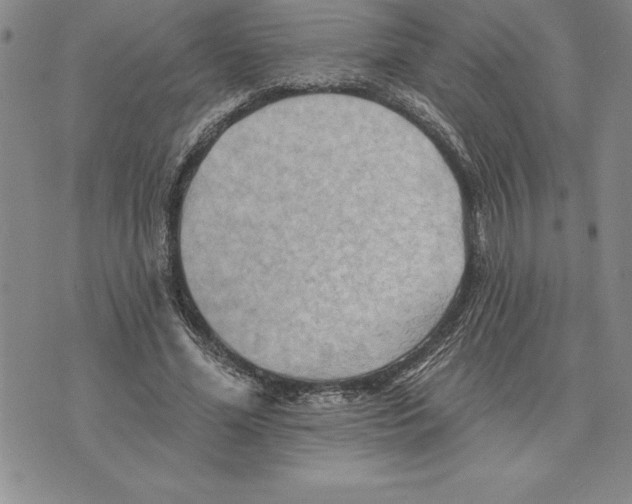 X0000075830588200610151522