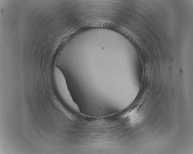 X0000075830589200610151522