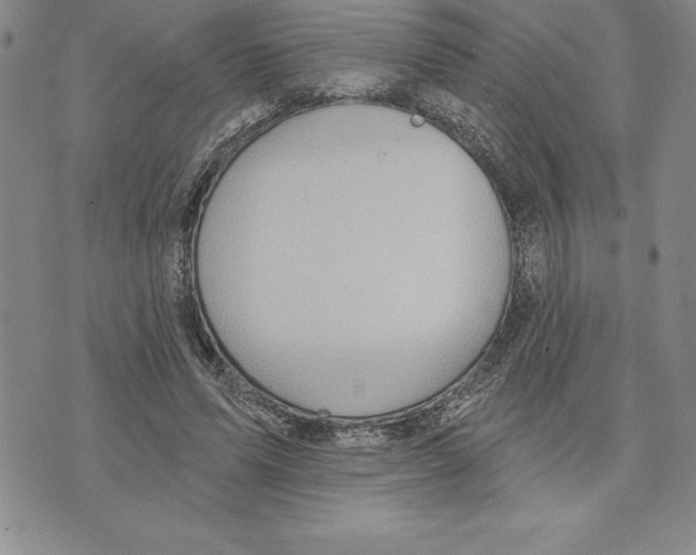 X0000075830591200610151522