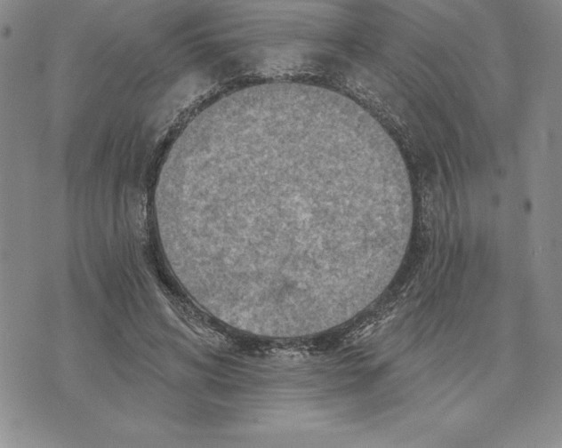 X0000075830592200610151522