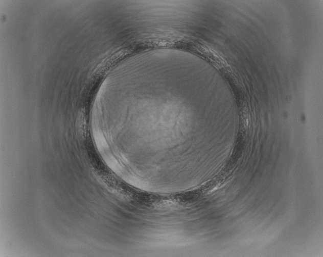 X0000075830594200610151522