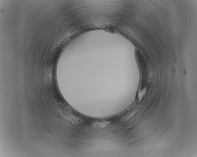 X0000075830595200610151522