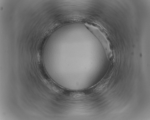 X0000075830597200610151522