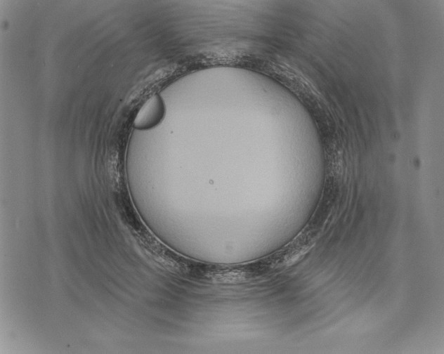 X0000075830599200610151522