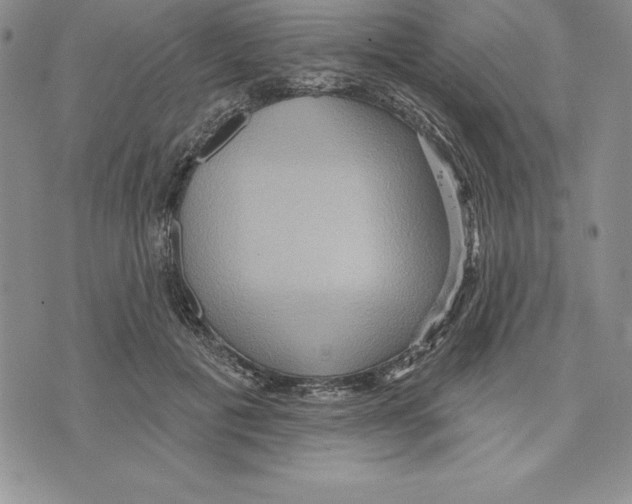 X0000075830601200610151522