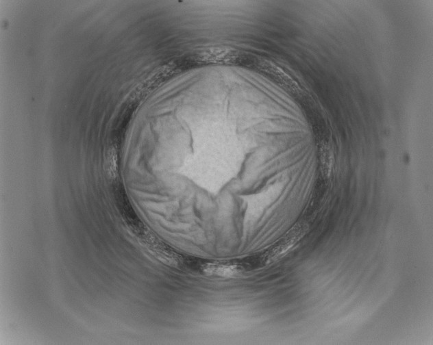 X0000075830602200610151522