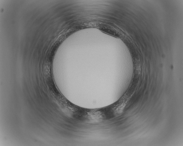 X0000075830603200610151522