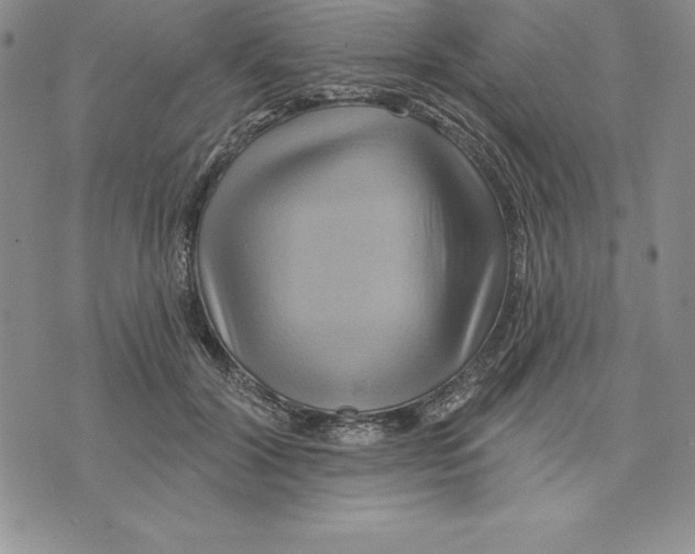 X0000075830604200610151522