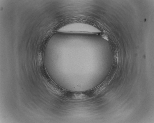 X0000075830605200610151522