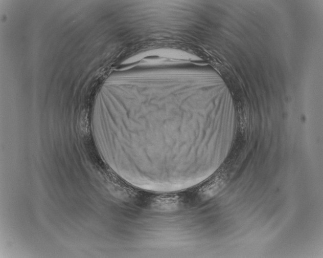 X0000075830606200610151522