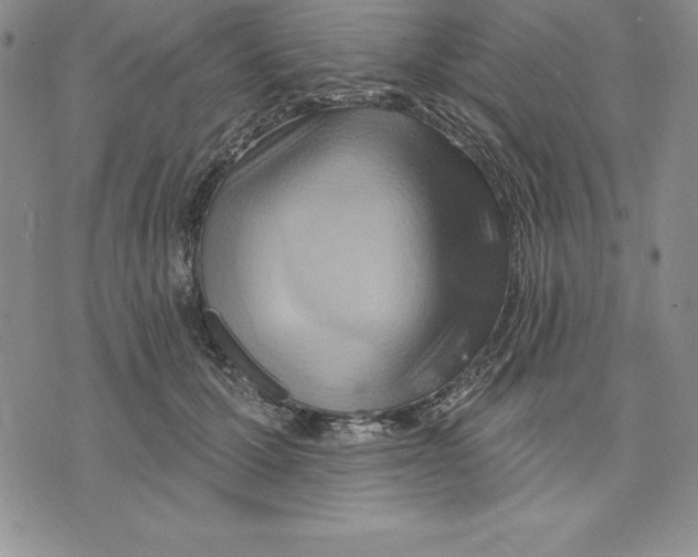 X0000075830607200610151522