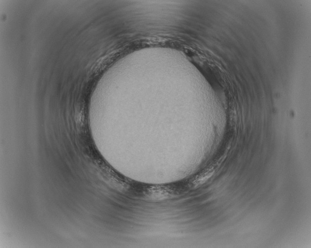 X0000075830608200610151522