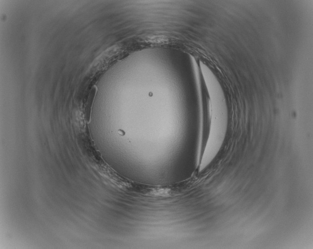 X0000075830609200610151521