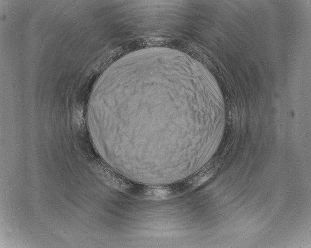 X0000075830610200610151521