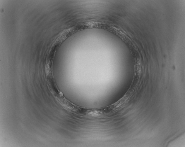 X0000075830611200610151521