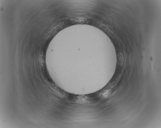 X0000075830612200610151521