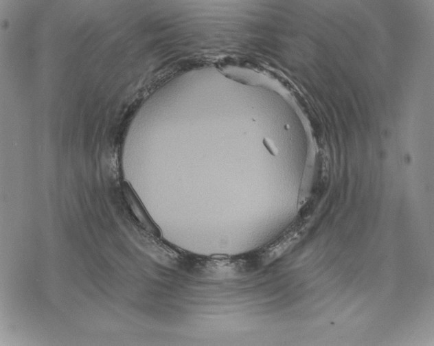 X0000075830613200610151521