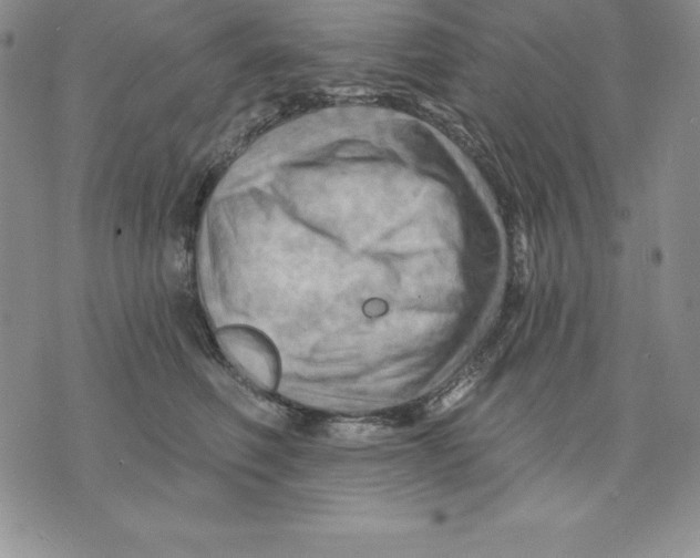 X0000075830614200610151521