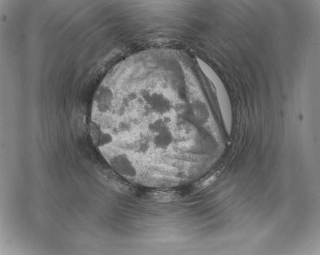 X0000075830615200610151521