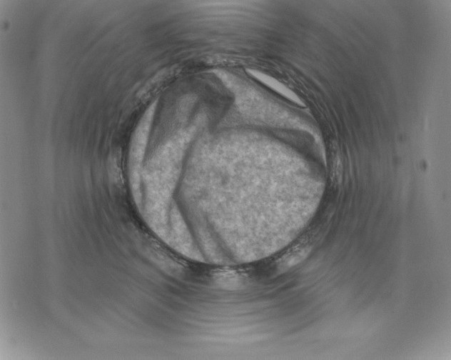 X0000075830616200610151521