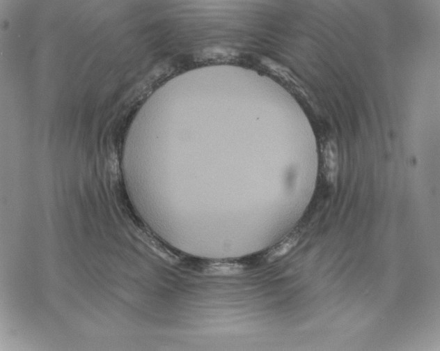 X0000075830617200610151521