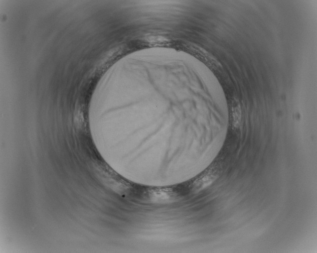 X0000075830618200610151521