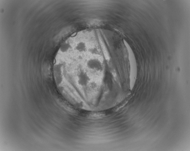 X0000075830619200610151521