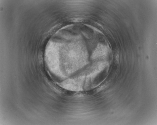 X0000075830620200610151521