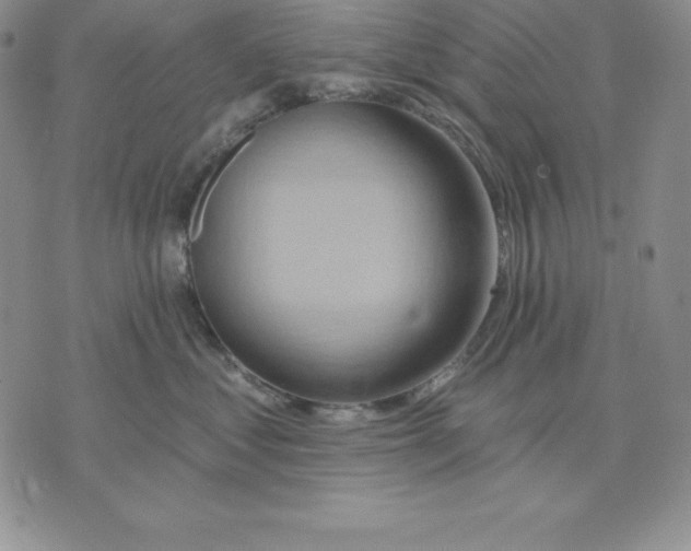 X0000075830621200610151521