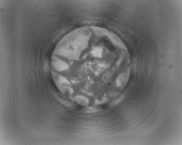 X0000075830623200610151521