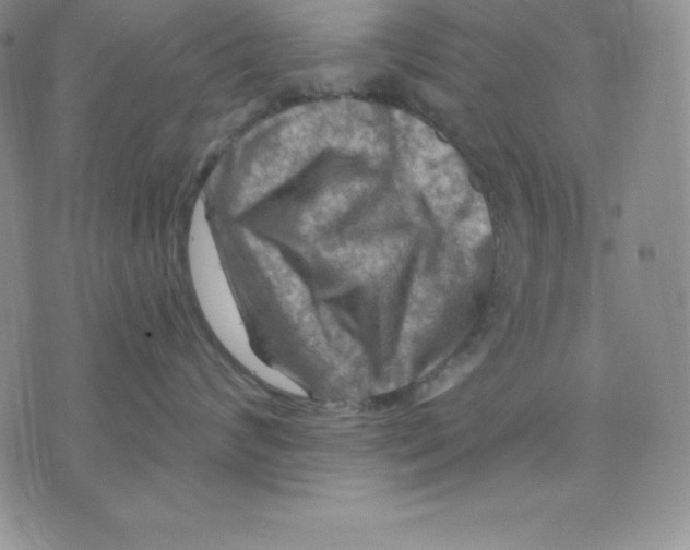 X0000075830624200610151521