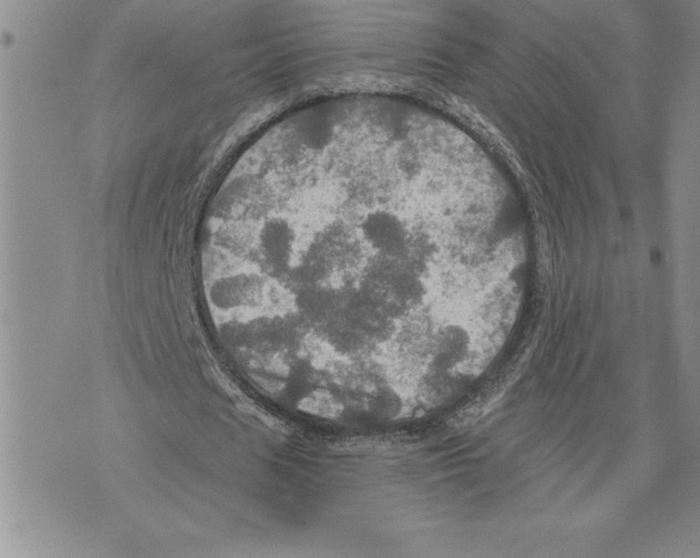 X0000075830625200610151520