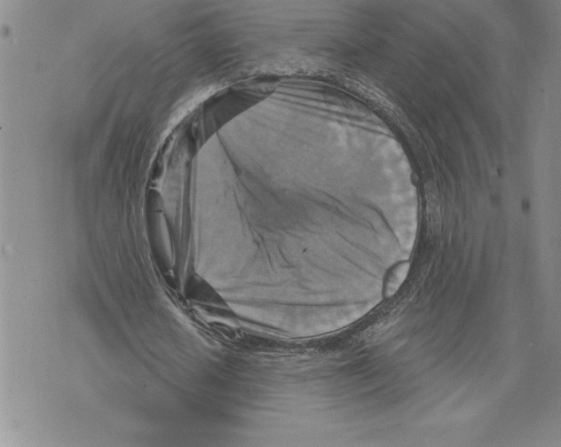 X0000075830626200610151520