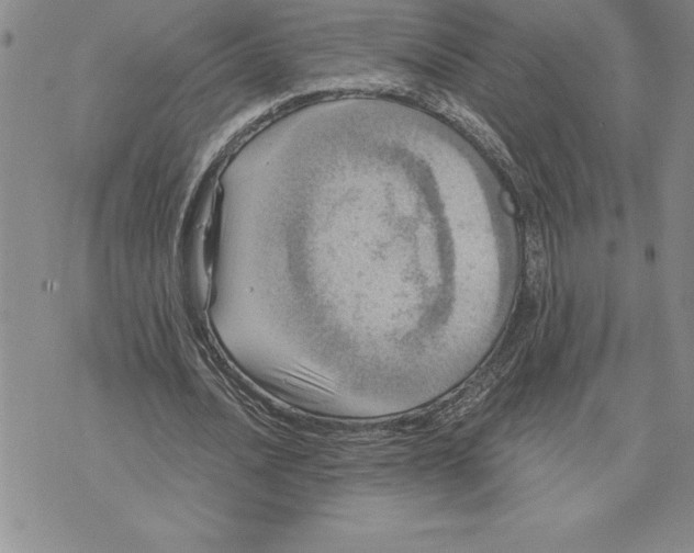 X0000075830628200610151521