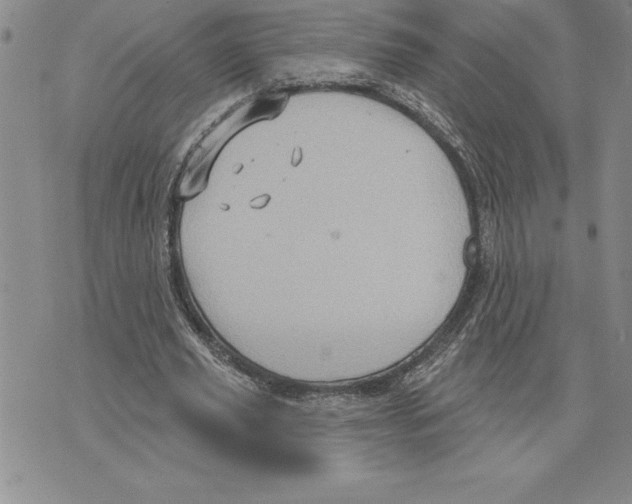 X0000075830629200610151521