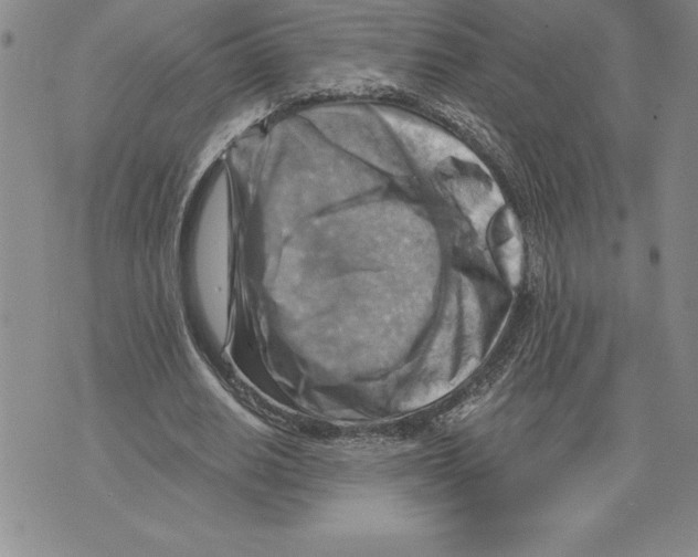 X0000075830630200610151521