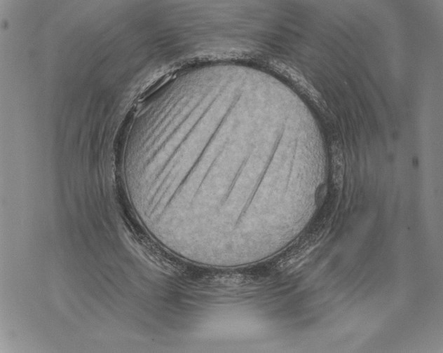 X0000075830631200610151521