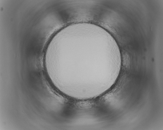 X0000075830632200610151521