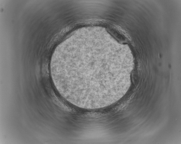 X0000075830633200610151521