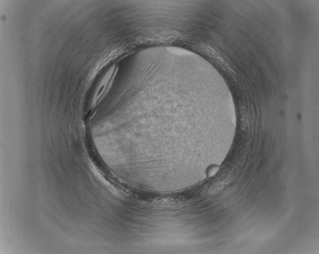 X0000075830634200610151521