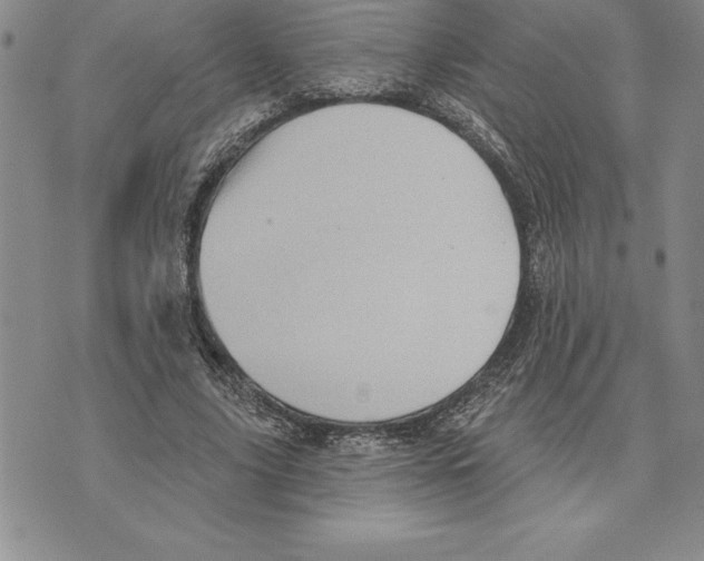 X0000075830635200610151521