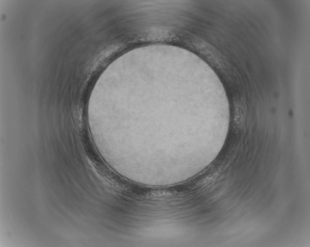 X0000075830636200610151521