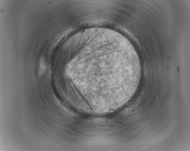 X0000075830637200610151521